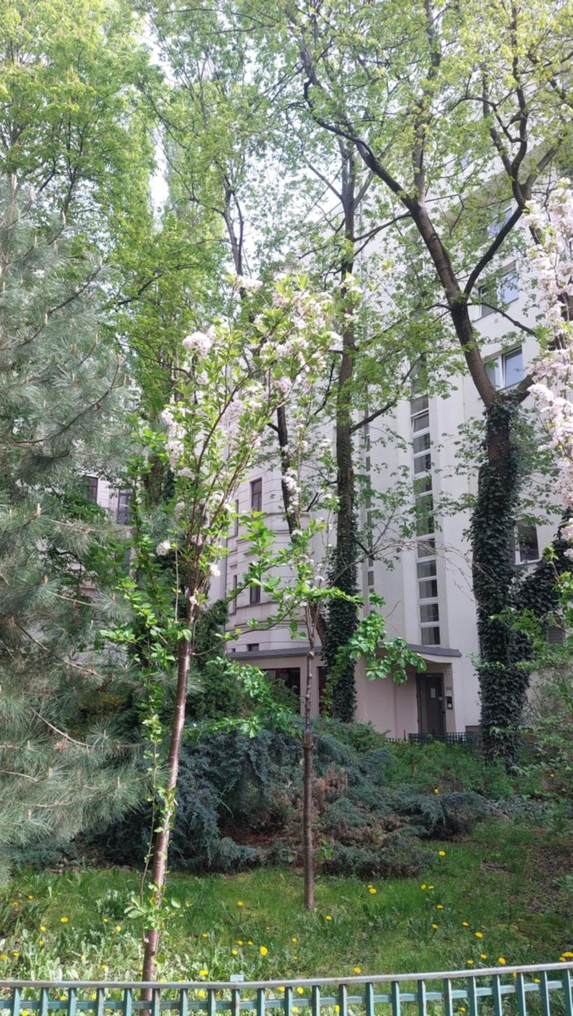 Downtown Elegant & Sunny Near Metro Station * Warszawa