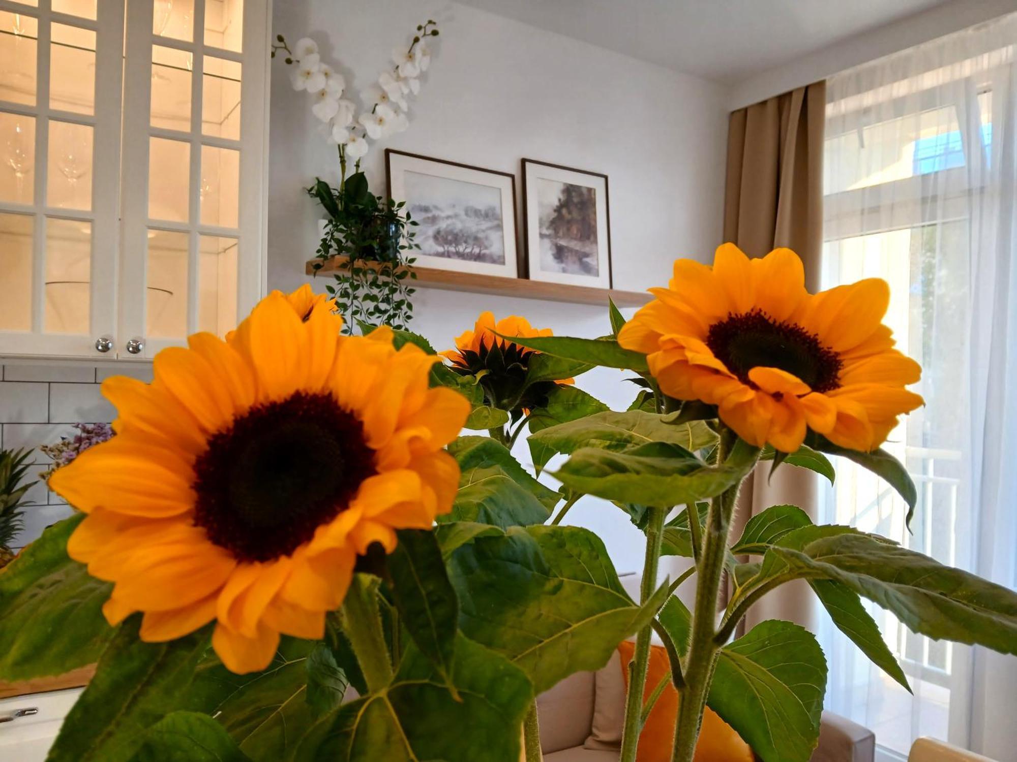Apartament Downtown Elegant & Sunny Near Metro Station *